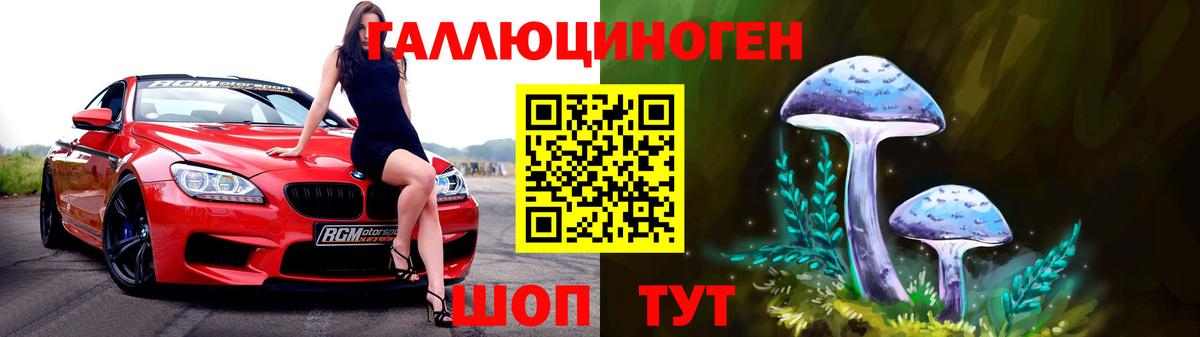 Псилоцибиновые грибы прущие грибы Шелехов